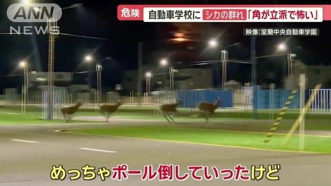 北海道室蘭市の自動車学校