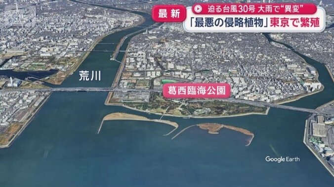 葛西臨海公園は荒川の河口に位置する