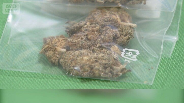 「会社員が麻薬の売人」 勧誘された男性証言 流通量増加で一般人まんえんか