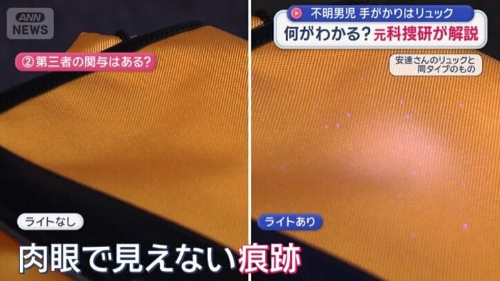 紫外線ライトを当てると…