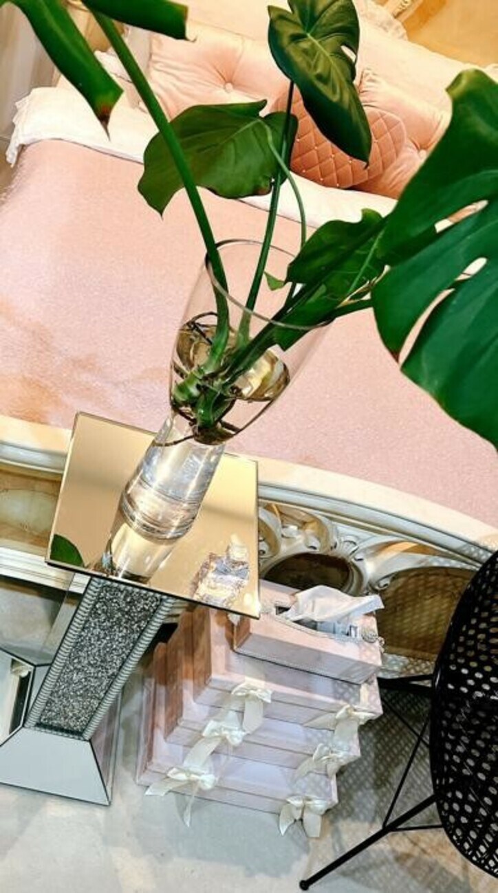  渡辺美奈代、模様替え中の自室の様子を公開「綺麗になっているのか？」 