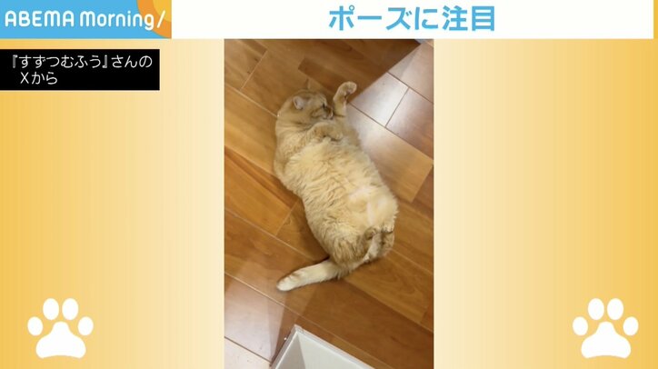 ご飯の催促をするすずくん