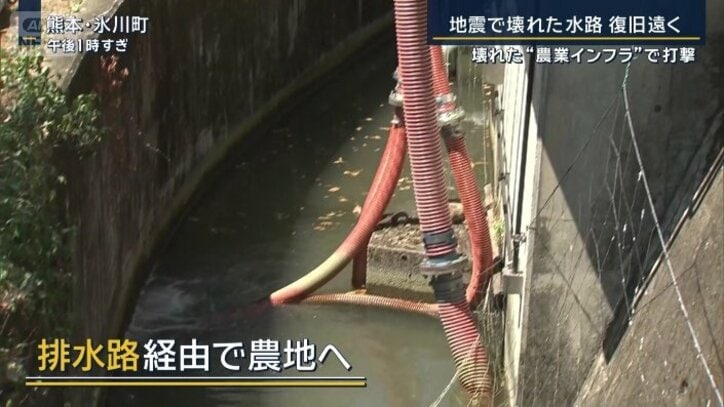 排水路