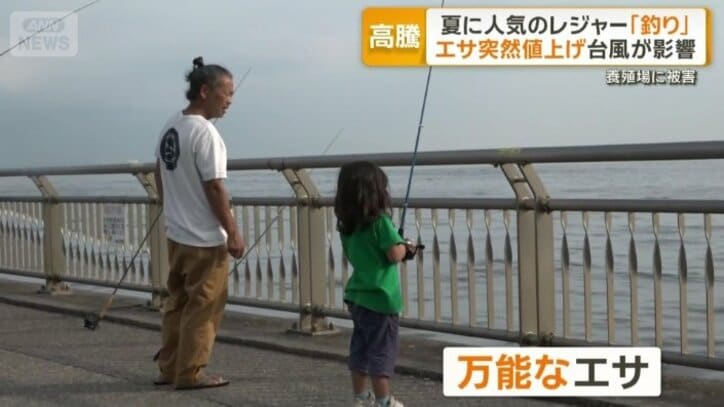 万能な餌「青イソメ」
