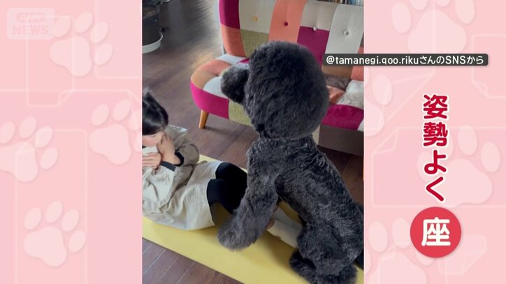 腹筋する足元でお座り