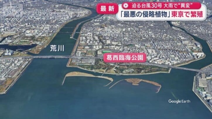 葛西臨海公園は荒川の河口に位置する