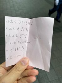 宮崎謙介『初めてのお遣い（サポート有）』