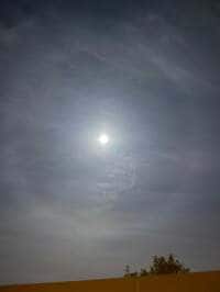 市川團十郎白猿『今日は満月』