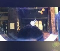 松井玲奈『1/7』