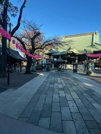 尾形あい『涙のデトックス』