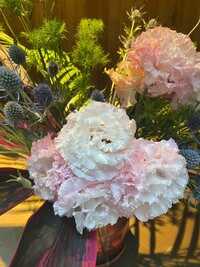 市川海老蔵『今日は朝から、』