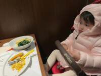 アレクサンダー『美人ちゃんのイヤイヤ期絶好調』