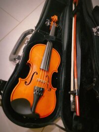 保田圭『ネット詐欺とヴァイオリン』