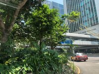 アグネス・チャン『香港島に着いた。』