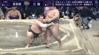 白鵬14勝1敗の九州場所全取り組み