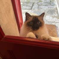 中村江里子『年越しは南仏で！！』