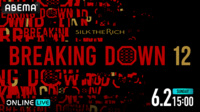 Breaking Down12（ブレイキングダウン12）結果・速報・対戦カード・大会情報