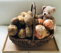 だいたひかる『前立腺ガンでも元気』