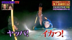 フィッシャーズが覚醒!? ンダホ＆モトキが初の素潜り漁で海のギャング仕留め「イカつ！」