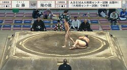 全身バキバキの“細マッチョ”イケメン力士、体重2倍の巨漢を見事ひっくり返す 「凄い粘り」「ウルトラC」衝撃の展開にファン興奮