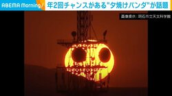 年2回しか遭遇できない!? 空に出現した“動物園の人気者”が話題 専門家「夢のような時間だった」