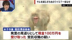 「サル賄賂」お金を払ってまでなぜ？公園のサル頭数削減めぐり米子市議が100万円受託収賄の疑いで逮捕…指定管理団体の思惑は