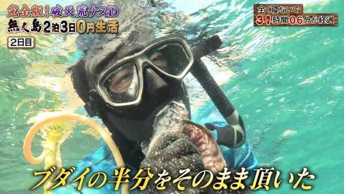 ナスDのワイルドすぎる“海中ランチ”に反響！  視聴者から「無呼吸おどり食い」「産地直食」の声 31枚目