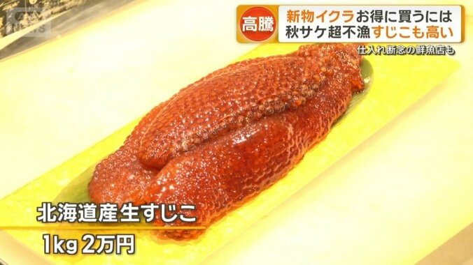 北海道産生スジコ　1kg2万円