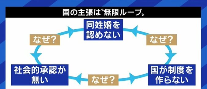 結婚の目的は“子どものため”!? 同性婚訴訟で飛び出した国の主張に波紋…制度導入のカギは“自民党をどう動かすか”？ 8枚目