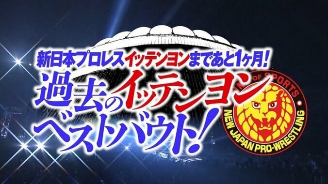 猪木がベイダーに「猪木プロレス」の集大成を見せる！武藤敬司VS高田延彦の激闘「'96 WRESTLING WORLD in 闘強導夢」を振り返る【イッテンヨンまであと1ヶ月】 1枚目