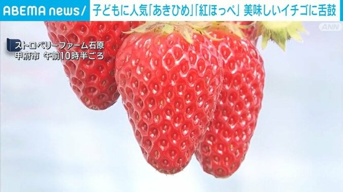 ストロベリーファーム石原