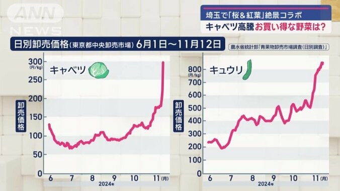 東京都中央卸売市場の卸売価格