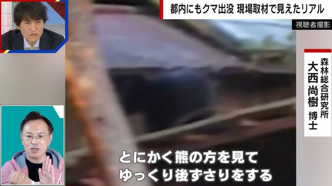 東京の民家の屋根に登るクマ