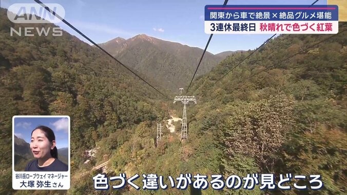 谷川岳ロープウェイ 大塚弥生 マネージャー