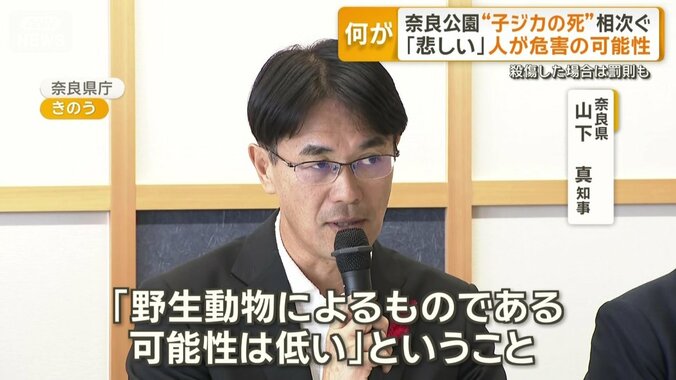 奈良県　山下真知事