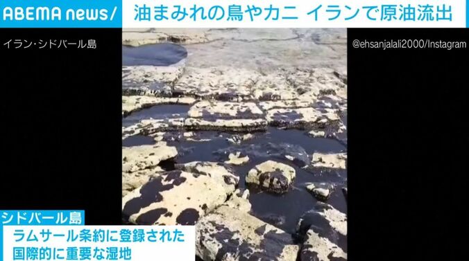 流出した原油