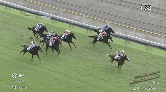 【映像】栗毛の馬体が“お父さんそっくり”期待の新馬