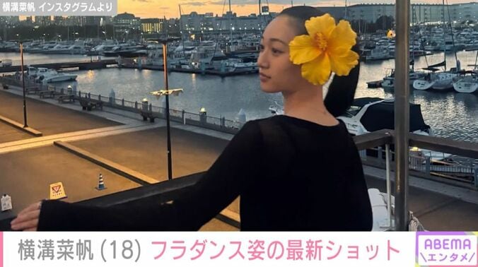 横溝菜帆
