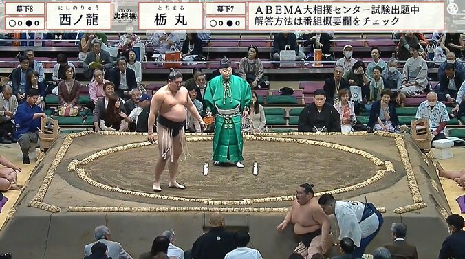 土俵下に落下した栃丸