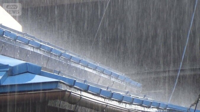 ゲリラ雷雨が列島各地に襲来　今シーズン初　帰宅ラッシュ直撃　停電続出　ひょうも 1枚目