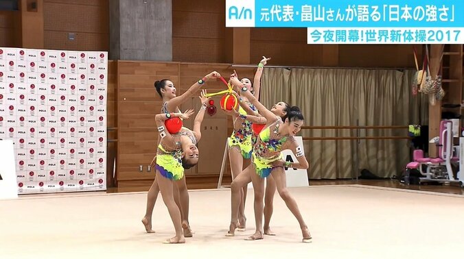 「世界新体操2017」が開幕、美しすぎる元日本代表が語るフェアリージャパンの強さ 2枚目