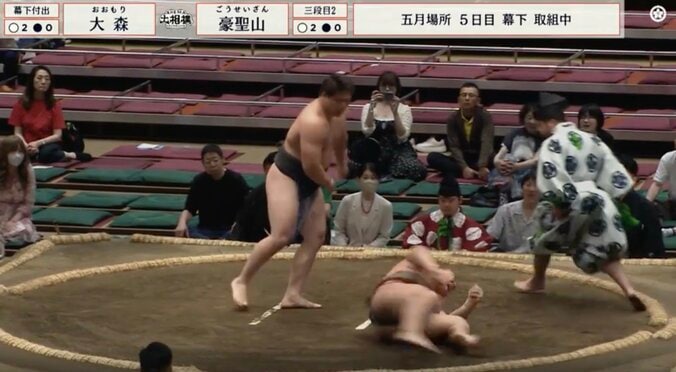 背筋265キロ！22歳“男前”力士の筋肉が「やばすぎ」 驚愕パワーの投げ技で巨体力士撃破「強い」「パワータイプすぎ」館内どよめく 5枚目