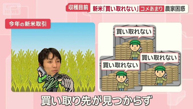 今年の新米取引