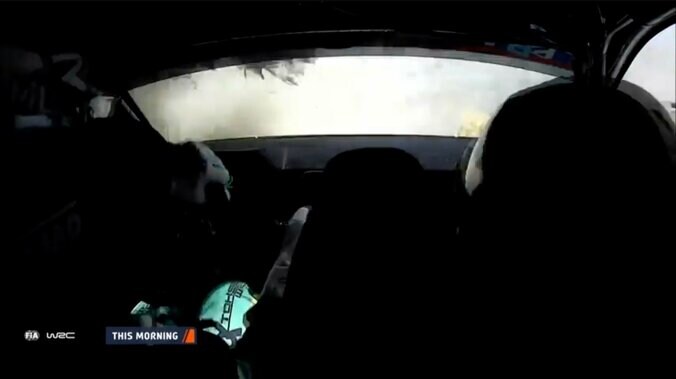 植え込みにクラッシュ