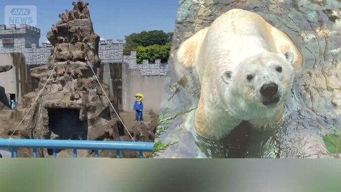 人気者巡りトラブル続出 パンチくんのサル山に侵入者 動物園側は対応に苦慮【詳細版】 1枚目