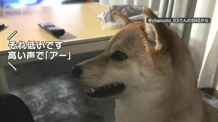 今度は成功！