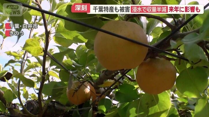 これまで経験したことがない事態に不安