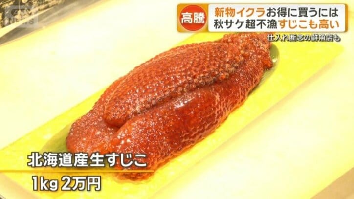 北海道産生スジコ　1kg2万円