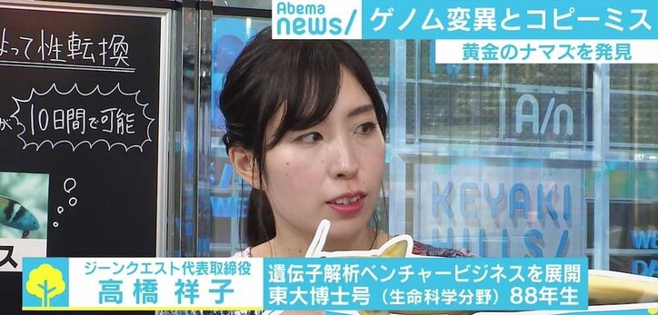 専門家も驚く“黄金のナマズ”、魚の中には成熟後に性転換する種も　遺伝子の不思議