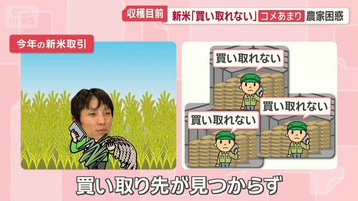 今年の新米取引